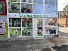 Furry Friends - Clinica Veterinara