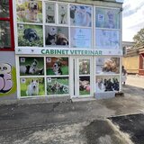 Furry Friends - Clinica Veterinara